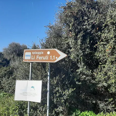 Perle De La Daire Viddalba